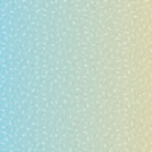 Meet your Posher, Bree